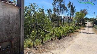 Land for sale in Sertã, Portugal — €20,000