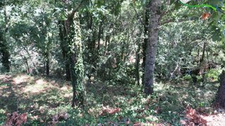 Land for sale in Pedrógão Grande, Portugal — €15,000