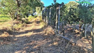 Land for sale in Sertã, Portugal — €60,000