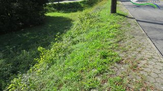Land for sale in Sertã, Portugal — €29,500