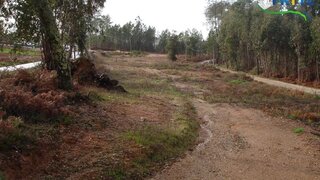 Land for sale in Sertã, Portugal — €27,950
