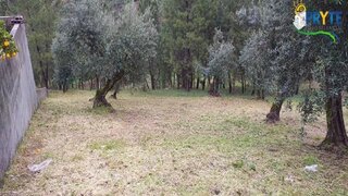 Land for sale in Sertã, Portugal — €17,500