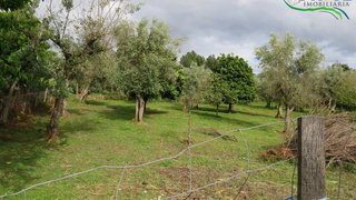 Land for sale in Sertã, Portugal — €56,000