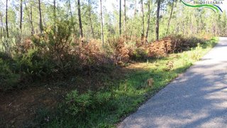 Land for sale in Sertã, Portugal — €12,000