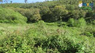 Land for sale in Sertã, Portugal — €23,000