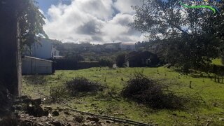 Land for sale in Proença-a-Nova, Portugal — €100,000