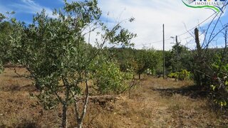 Land for sale in Oleiros, Portugal — €18,000