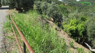 Land for sale in Sertã, Portugal — €30,000