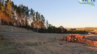 Land for sale in Sertã, Portugal — €45,000