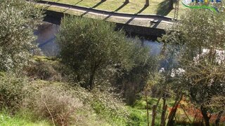 Land for sale in Sertã, Portugal — €12,500