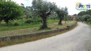 Land for sale in Proença-a-Nova, Portugal — €9,500