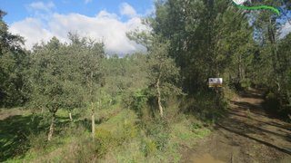 Land for sale in Sertã, Portugal — €4,900