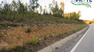 Terreno em Sertã