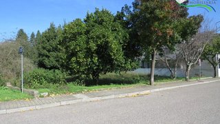 Land for sale in Sertã, Portugal — €70,000