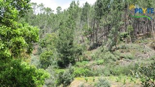Land for sale in Proença-a-Nova, Portugal — €24,900