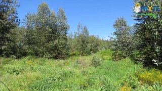 Land for sale in Sertã, Portugal — €39,000