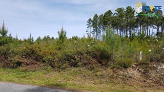 Land for sale in Sertã, Portugal — €35,000