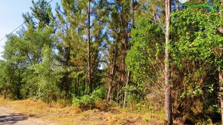 Land for sale in Sertã, Portugal — €19,000