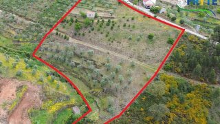 Land for sale in Sertã, Portugal — €30,000