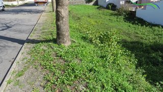 Land for sale in Sertã, Portugal — €29,500