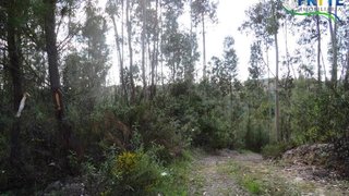 Land for sale in Sertã, Portugal — €100,000