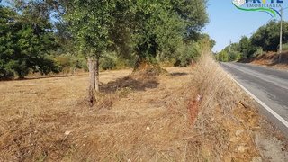 Land for sale in Sertã, Portugal — €165,000
