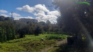 Land for sale in Proença-a-Nova, Portugal — €75,000
