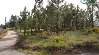 Land for sale in Mação, Portugal — €16,000