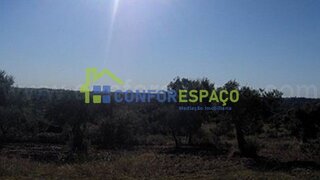 Terreno de 8000 m² em Castelo Branco