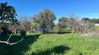 Terreno em Castelo Branco · 600 m² · 31 500 €