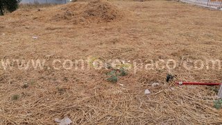 Terreno de 375 m² em Castelo Branco
