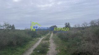 Terreno de 250 000 m² em Castelo Branco