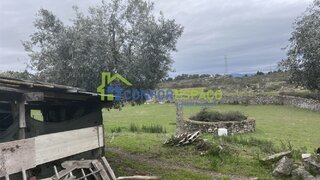 Terreno de 2200 m² em Castelo Branco