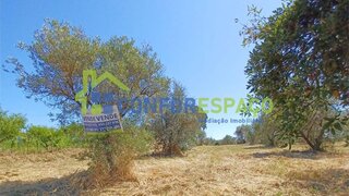 Land for sale in Idanha-a-Nova, Portugal — €19,500
