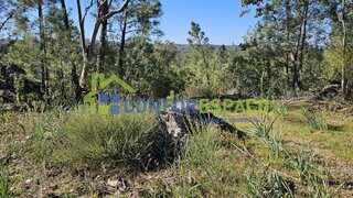 Terreno de 10 364 m² em Castelo Branco