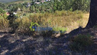 Terreno de 650 m² em Castelo Branco