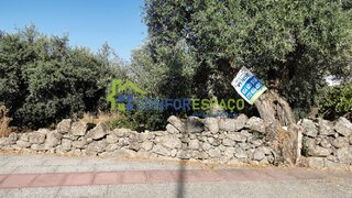 Terreno de 600 m² em Castelo Branco