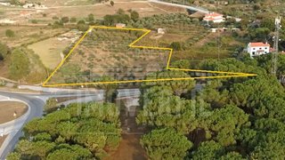 Land for sale in Nelas, Portugal — €212,000