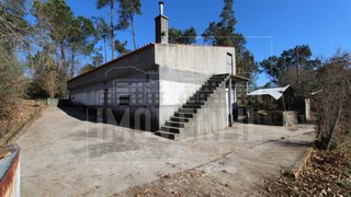 Terreno em Nelas