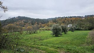 Land for sale in Arganil, Portugal — €58,000