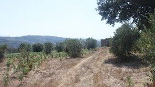 Land for sale in Arganil, Portugal — €30,000