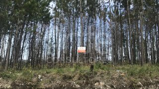 Terreno de 12 285 m² em Aveiro
