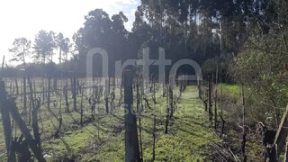 Land for sale in Oliveira do Bairro, Portugal — €29,000