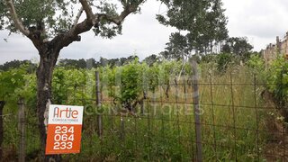 Land for sale in Oliveira do Bairro, Portugal — €95,000