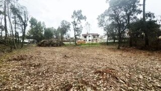 Land for sale in Oliveira de Azeméis, Portugal — €55,000