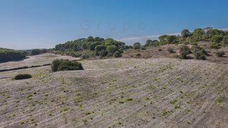 Land for sale in Palmela, Portugal — €2,200,000