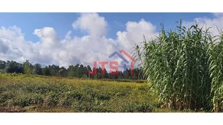 Land for sale in Oliveira do Bairro, Portugal — €25,000