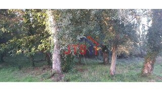 Land for sale in Anadia, Portugal — €30,000
