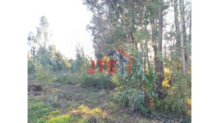 Land for sale in Águeda, Portugal — €50,000