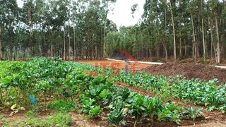 Land for sale in Águeda, Portugal — €28,500